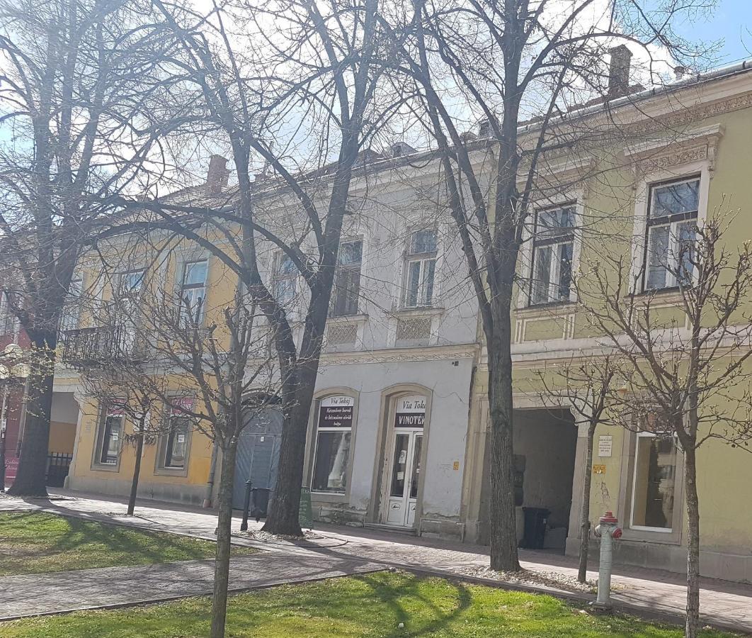 Via Tokaj Vendeghaz Lejlighed Sátoraljaújhely Eksteriør billede