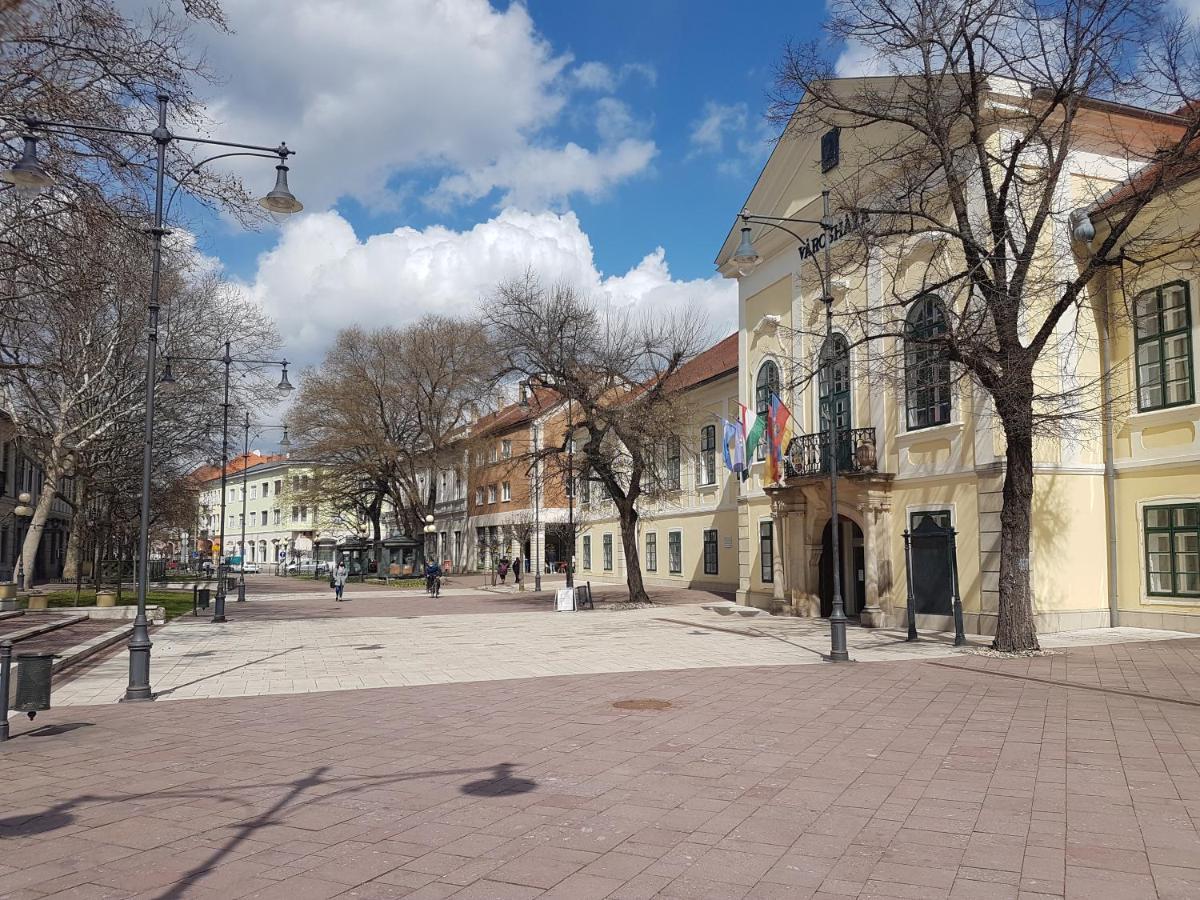 Via Tokaj Vendeghaz Lejlighed Sátoraljaújhely Eksteriør billede