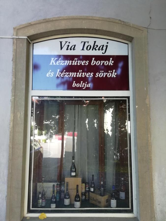 Via Tokaj Vendeghaz Lejlighed Sátoraljaújhely Eksteriør billede