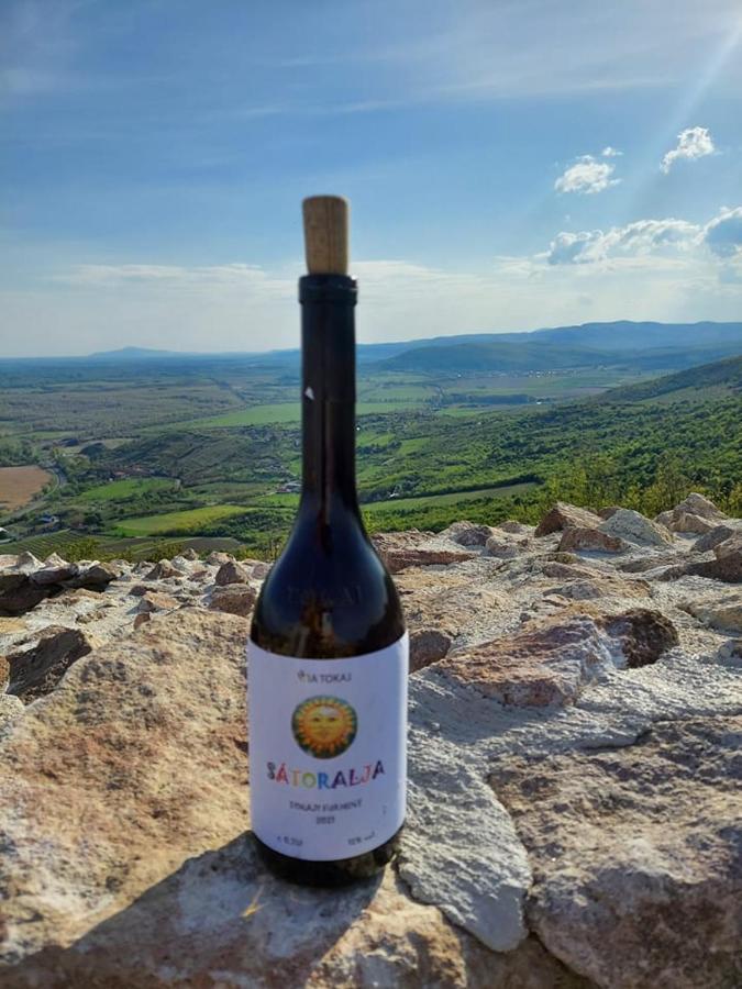 Via Tokaj Vendeghaz Lejlighed Sátoraljaújhely Eksteriør billede