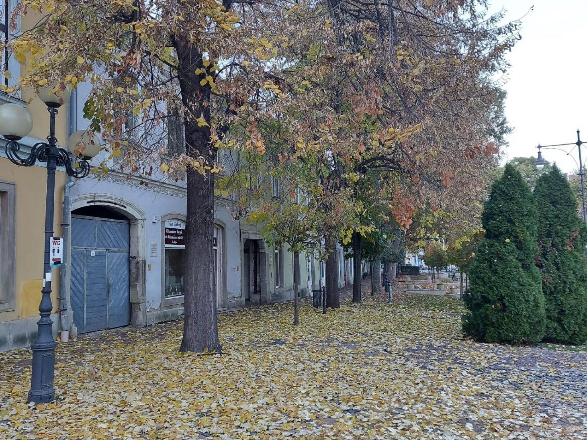 Via Tokaj Vendeghaz Lejlighed Sátoraljaújhely Eksteriør billede