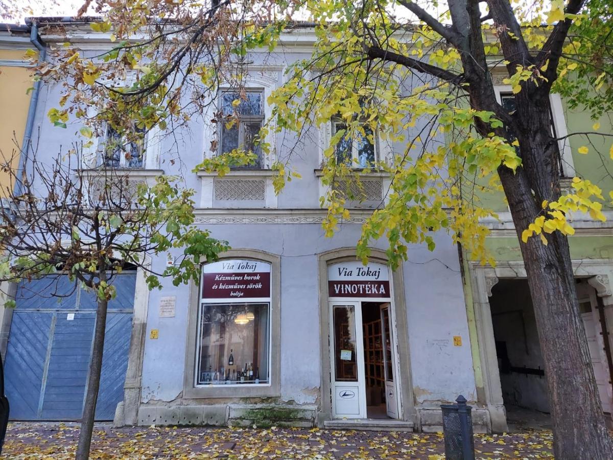 Via Tokaj Vendeghaz Lejlighed Sátoraljaújhely Eksteriør billede
